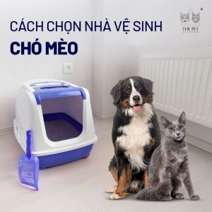 Cách chọn nhà vệ sinh chó mèo 690 Tìm hiểu cách chọn nhà vệ sinh chó mèo rất quan trọng.