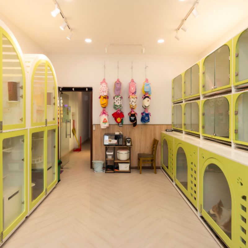 List pet shop Bình Tân 2 Pet shop Bình Tân nổi tiếng có dịch vụ đạt chuẩn 5 sao.