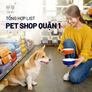 Theo dõi tổng hợp list pet shop quận 1 uy tín để thú cưng được chăm sóc tốt nhất.