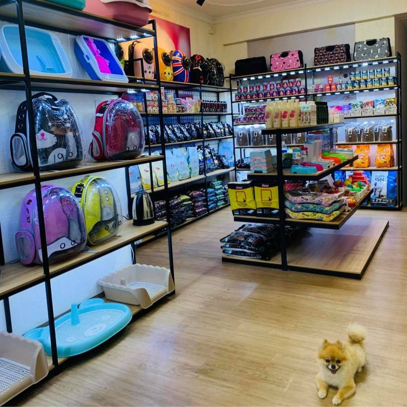 Dịch vụ giao hàng tận nơi vô cùng thuận tiện đã có mặt tại các cửa hàng thú cưng quận 1.