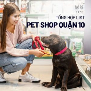 Tìm hiểu tiêu chí lựa chọn pet shop quận 10 uy tín.