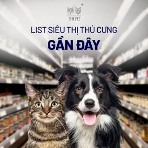 Thị trường siêu thị thú cưng gần đây phát triển mạnh mẽ.