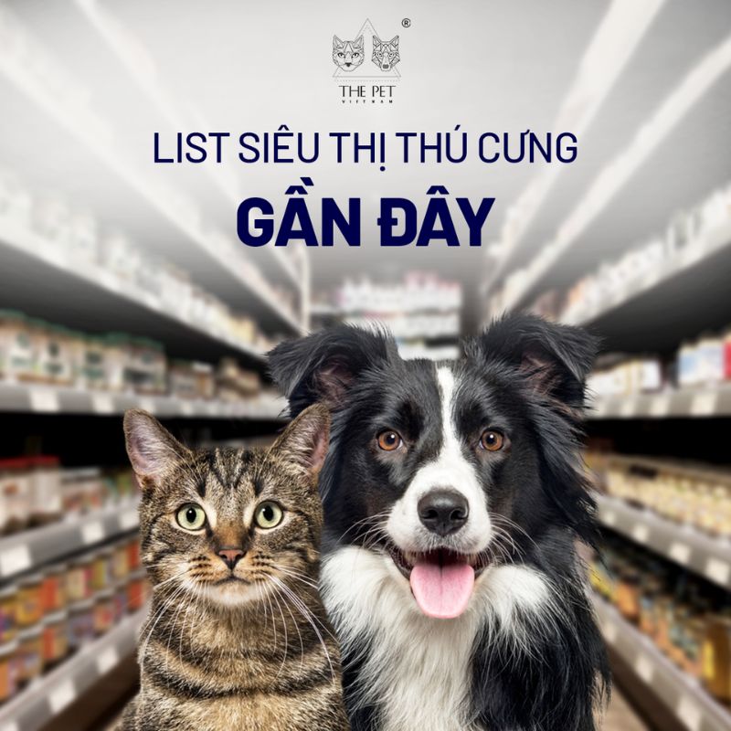 List siêu thị thú cưng gần đây 1 Thị trường siêu thị thú cưng gần đây phát triển mạnh mẽ.