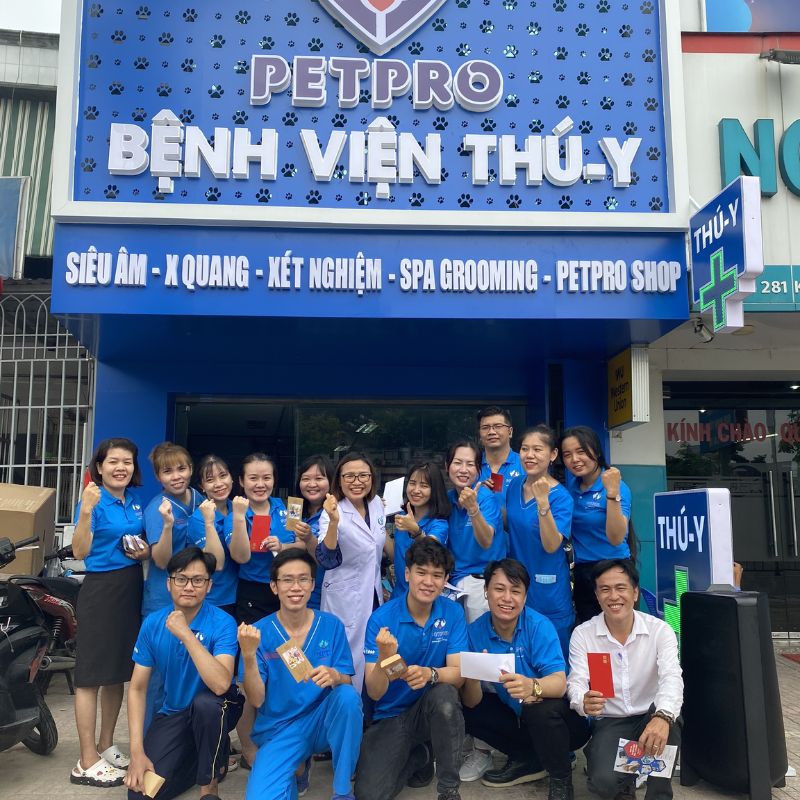 Tổng hợp list spa thú cưng gần đây 3 spa thu cung gan day 4