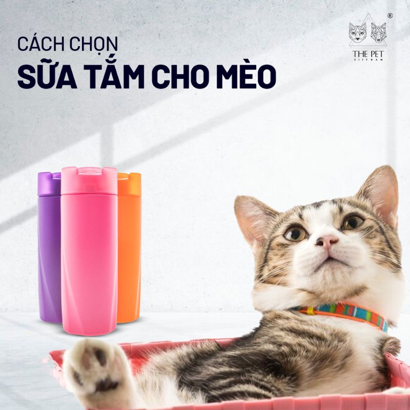 Cách chọn sữa tắm cho mèo 1 sua tam cho meo 1
