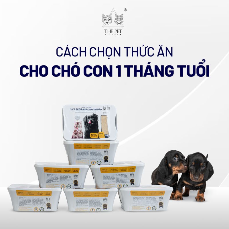 Cách chọn thức ăn cho chó con 1 tháng tuổi 1 Nhu cầu dinh dưỡng của chó con 1 tháng tuổi.