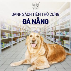 Chất lượng dịch vụ các tiệm thú cưng Đà Nẵng ngày càng nâng cao.
