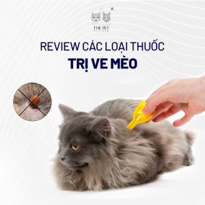 Review các loại thuốc trị ve mèo phổ biến trên thị trường.