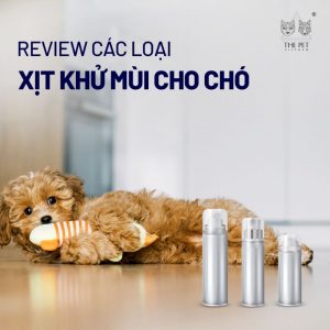 Đánh giá các loại xịt khử mùi cho chó hiện nay.