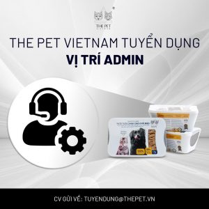 TUYỂN DỤNG SALE ADMIN – LƯƠNG ĐẾN 10 TRIỆU ĐỒNG++ 532 ad