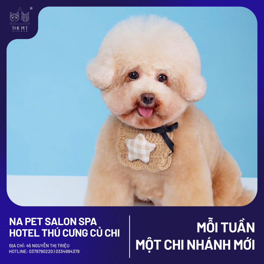 🐾 Pate Tươi The Pet Vietnam Có Mặt Tại NA Pet Salon - Củ Chi! 🐶🐱 4 1 3
