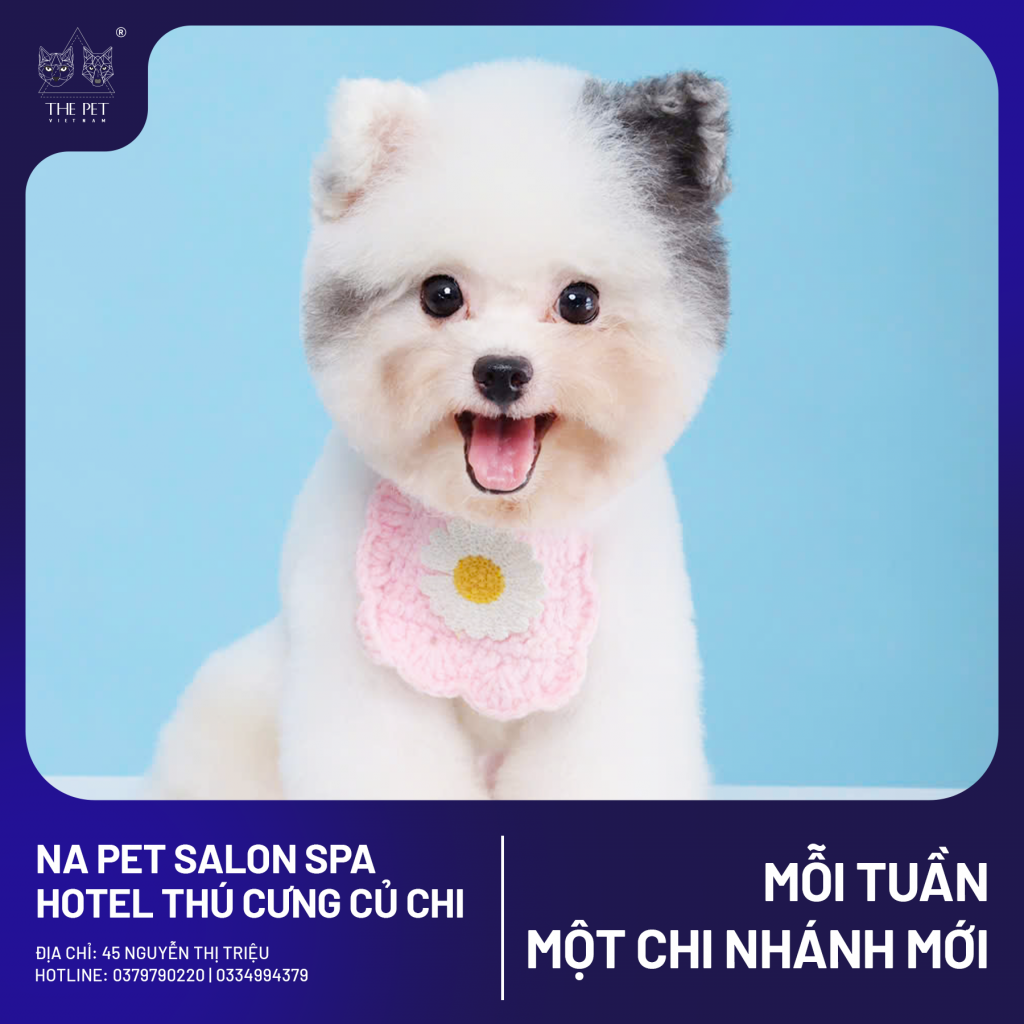 🐾 Pate Tươi The Pet Vietnam Có Mặt Tại NA Pet Salon - Củ Chi! 🐶🐱 8 2 5