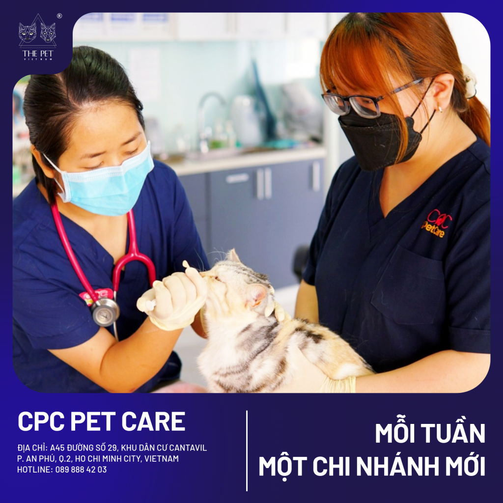 🎉 TIN VUI CHO CÁC SEN QUẬN 2 – PATE TƯƠI QUỐC DÂN THE PET VIETNAM ĐÃ CÓ MẶT TẠI CPC PET CARE! 🐾 4 3