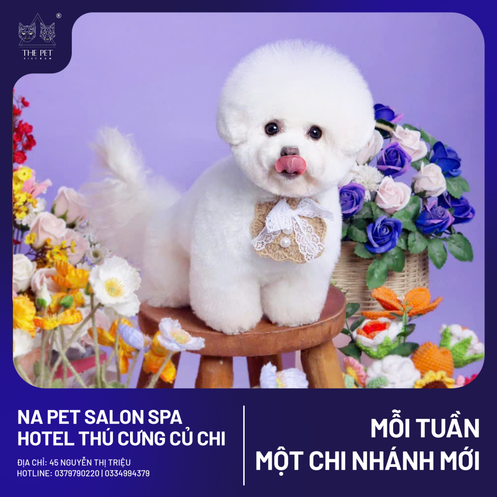 🐾 Pate Tươi The Pet Vietnam Có Mặt Tại NA Pet Salon - Củ Chi! 🐶🐱 5 3 3