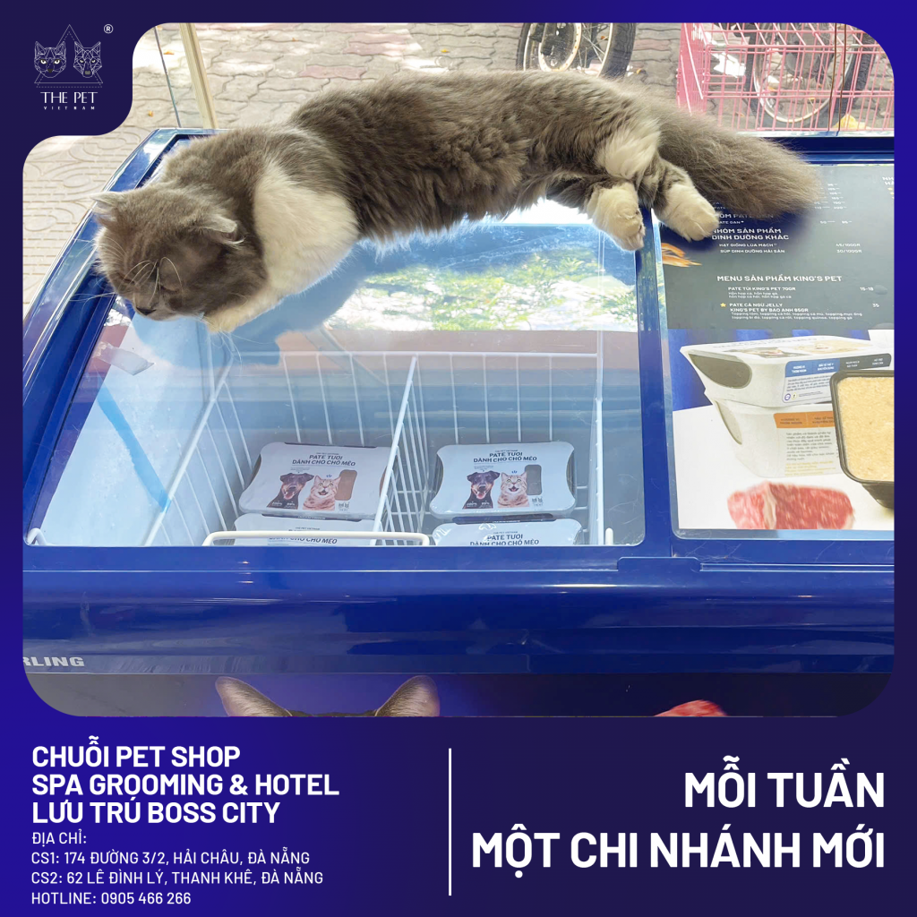 🎉CHÀO MỪNG PATE TƯƠI THE PET VIETNAM LẦN ĐẦU TIÊN CÓ MẶT TẠI ĐÀ NẴNG🎉 5 4 1 1