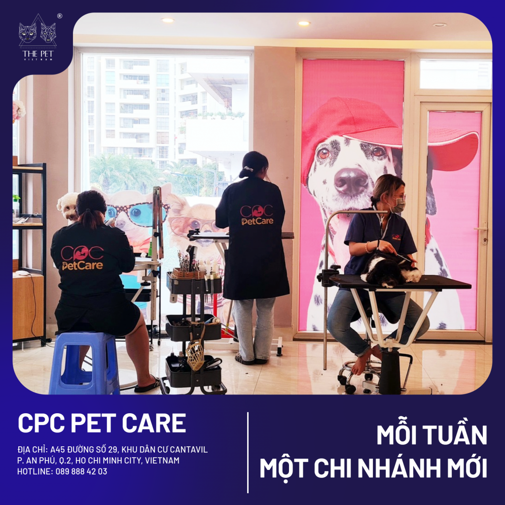🎉 TIN VUI CHO CÁC SEN QUẬN 2 – PATE TƯƠI QUỐC DÂN THE PET VIETNAM ĐÃ CÓ MẶT TẠI CPC PET CARE! 🐾 5 4