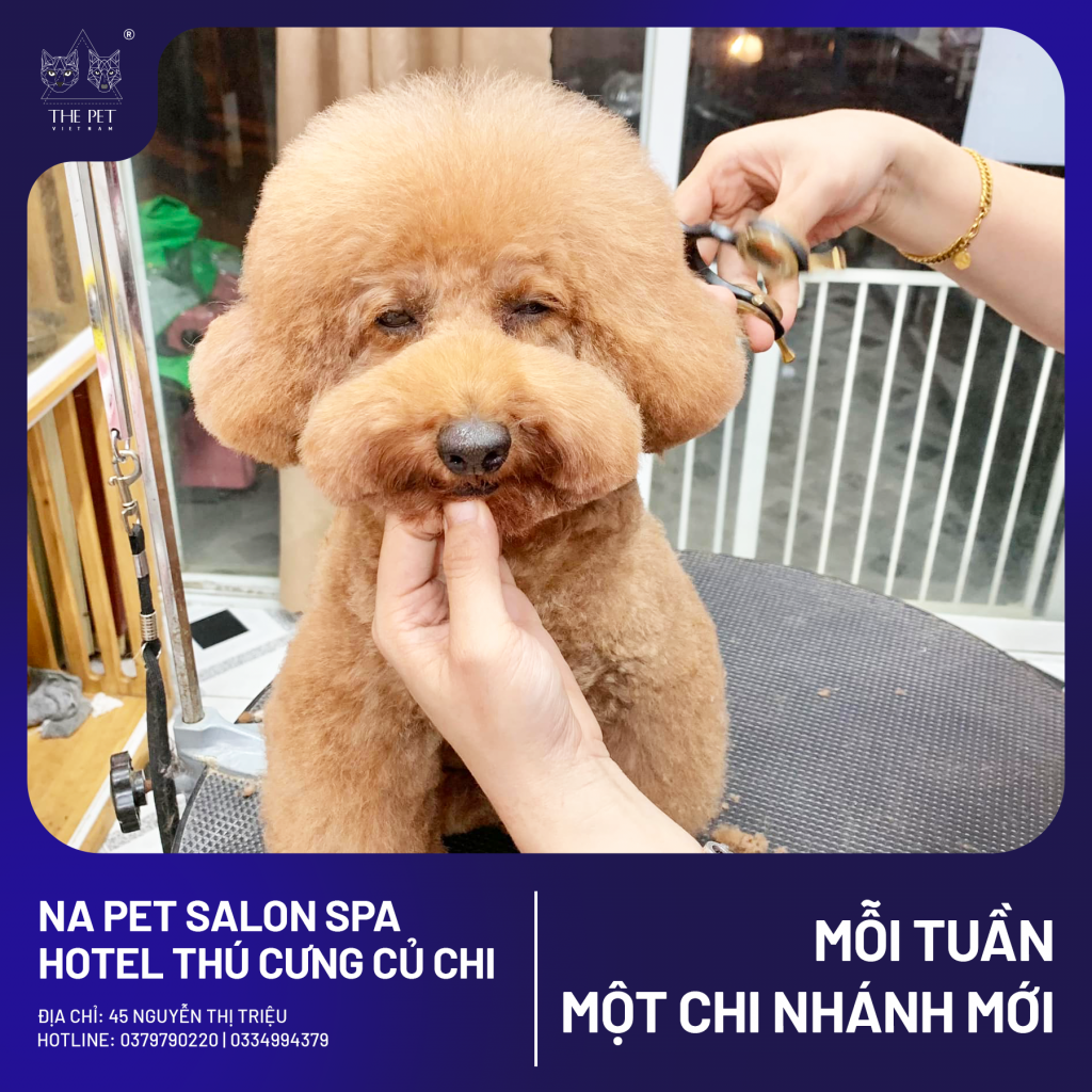 🐾 Pate Tươi The Pet Vietnam Có Mặt Tại NA Pet Salon - Củ Chi! 🐶🐱 3 7 1 1
