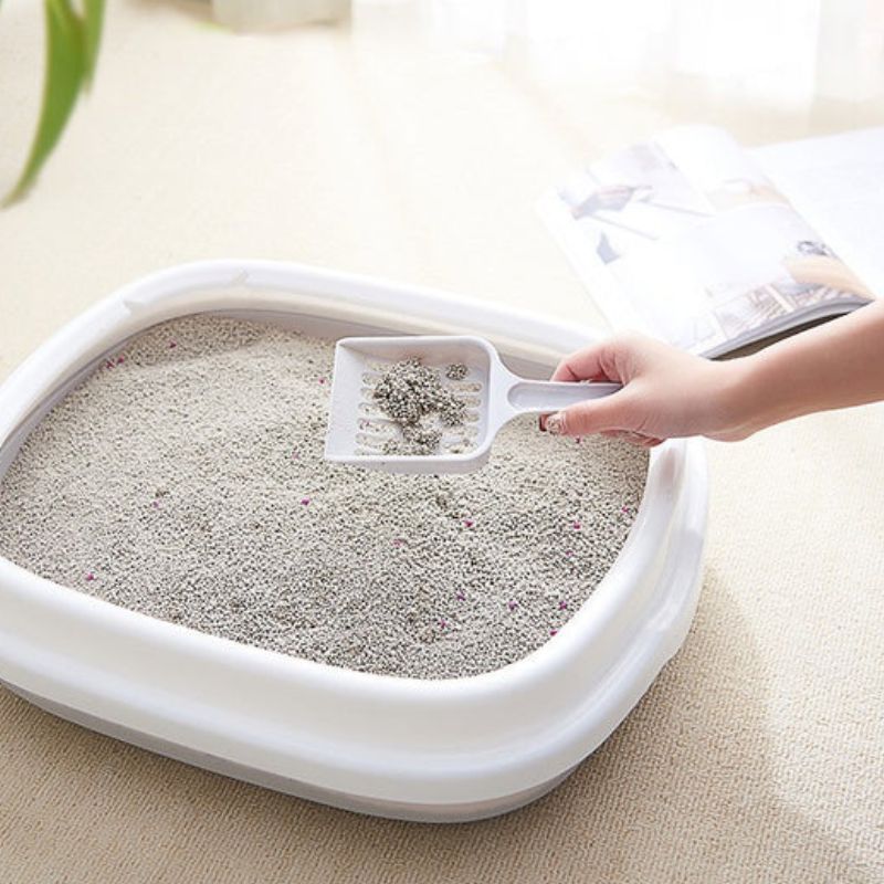 Cách chọn mua cát đất sét.