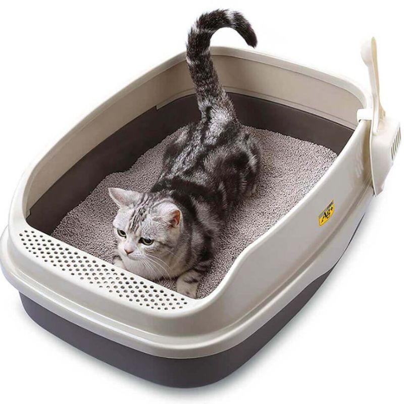 Chuẩn bị và thiết lập khu vực vệ sinh.