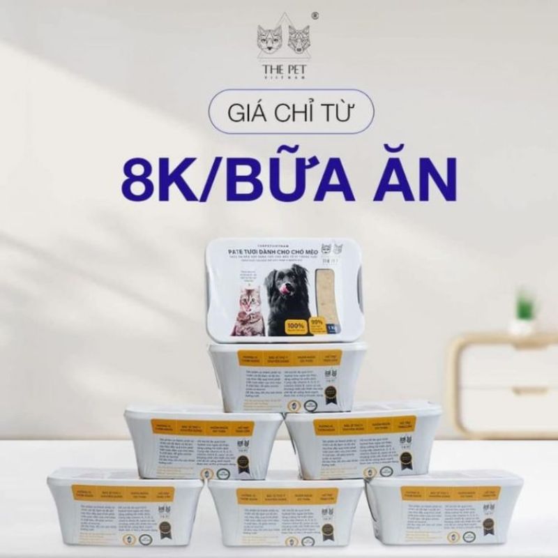 Bữa ăn tươi ngon cho mèo cưng.