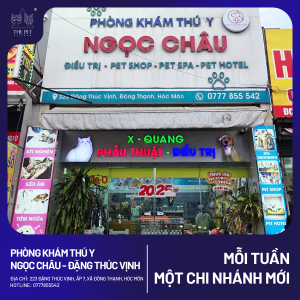 🎯 CHUYÊN MỤC MỖI TUẦN MỘT CHI NHÁNH MỚI 🎯 493 1 1 1