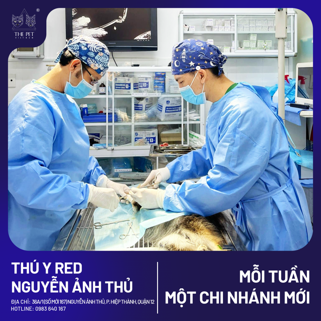 🎉 MỖI TUẦN 1 CHI NHÁNH MỚI 🎉 3 1 2