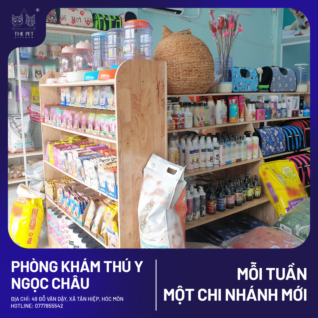 CHUYÊN MỤC MỖI TUẦN MỘT CHI NHÁNH MỚI – PHÒNG KHÁM THÚ Y NGỌC CHÂU – HÓC MÔN 6 2 1