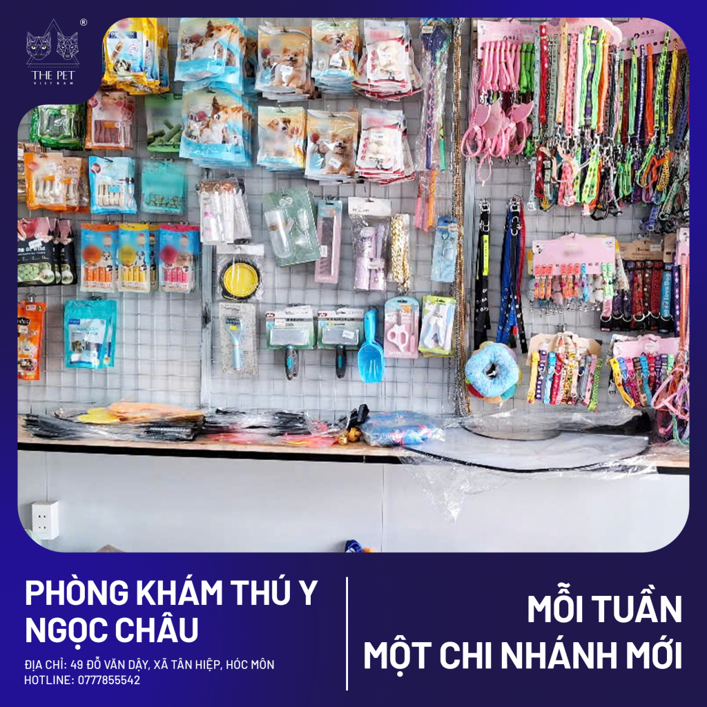 CHUYÊN MỤC MỖI TUẦN MỘT CHI NHÁNH MỚI – PHÒNG KHÁM THÚ Y NGỌC CHÂU – HÓC MÔN 5 3 1