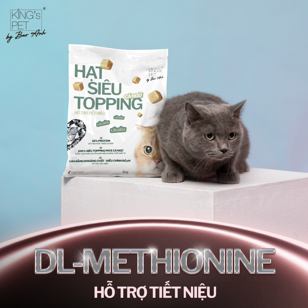 hỗ trợ tiết niệu mèo 