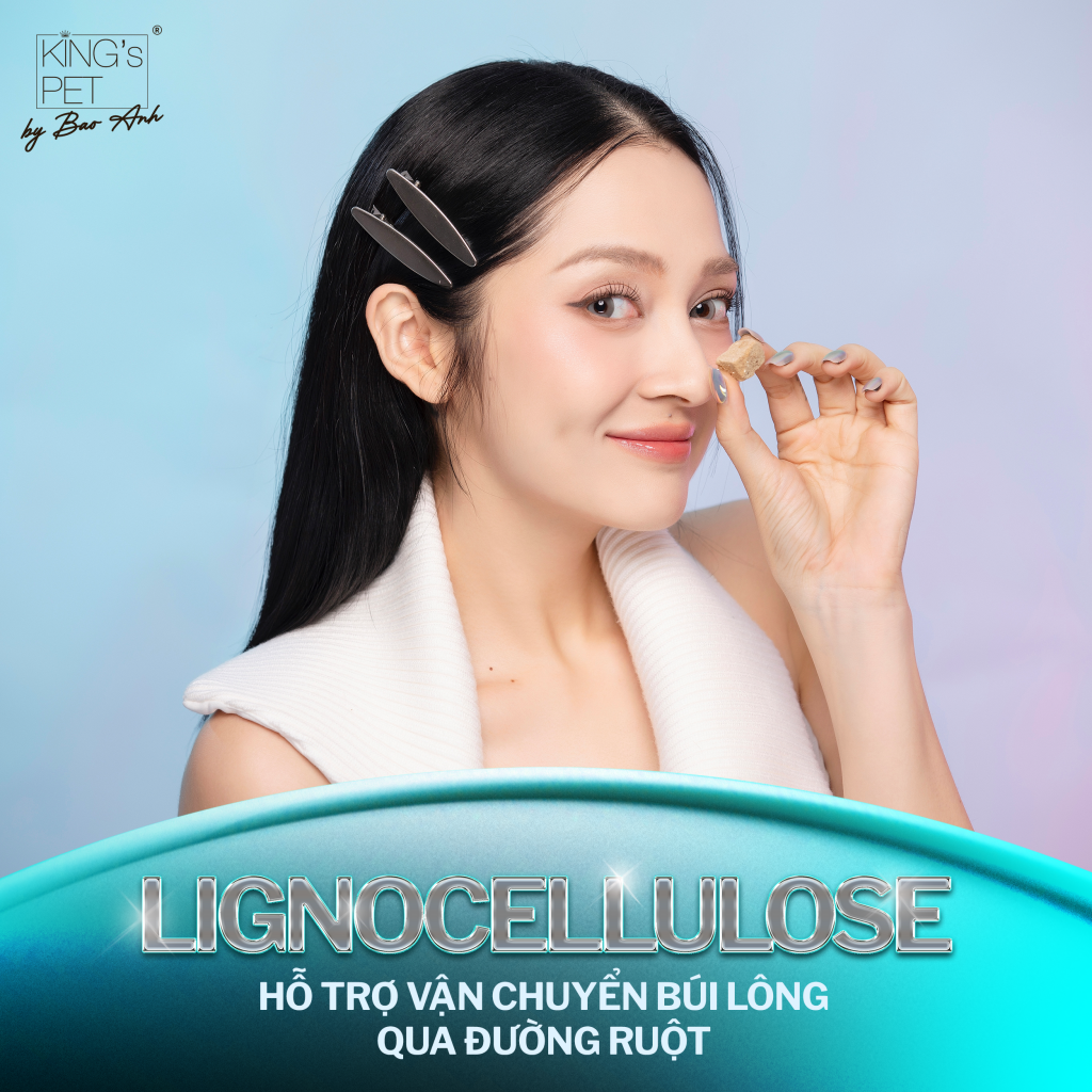 hỗ trợ tình trạng búi lông
