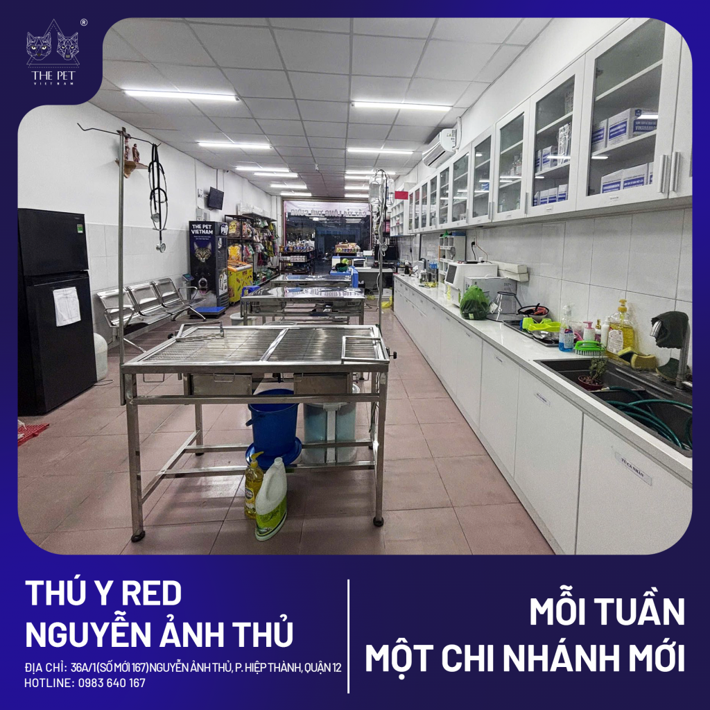 🎉 MỖI TUẦN 1 CHI NHÁNH MỚI 🎉 4 4 2