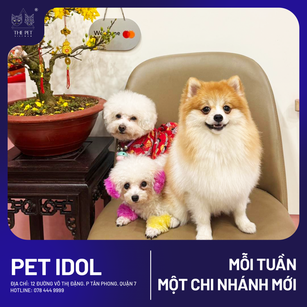 🎉MỖI TUẦN 1 CHI NHÁNH MỚI - TUẦN NÀY LÀ QUẬN 7 🎉 5 4 3