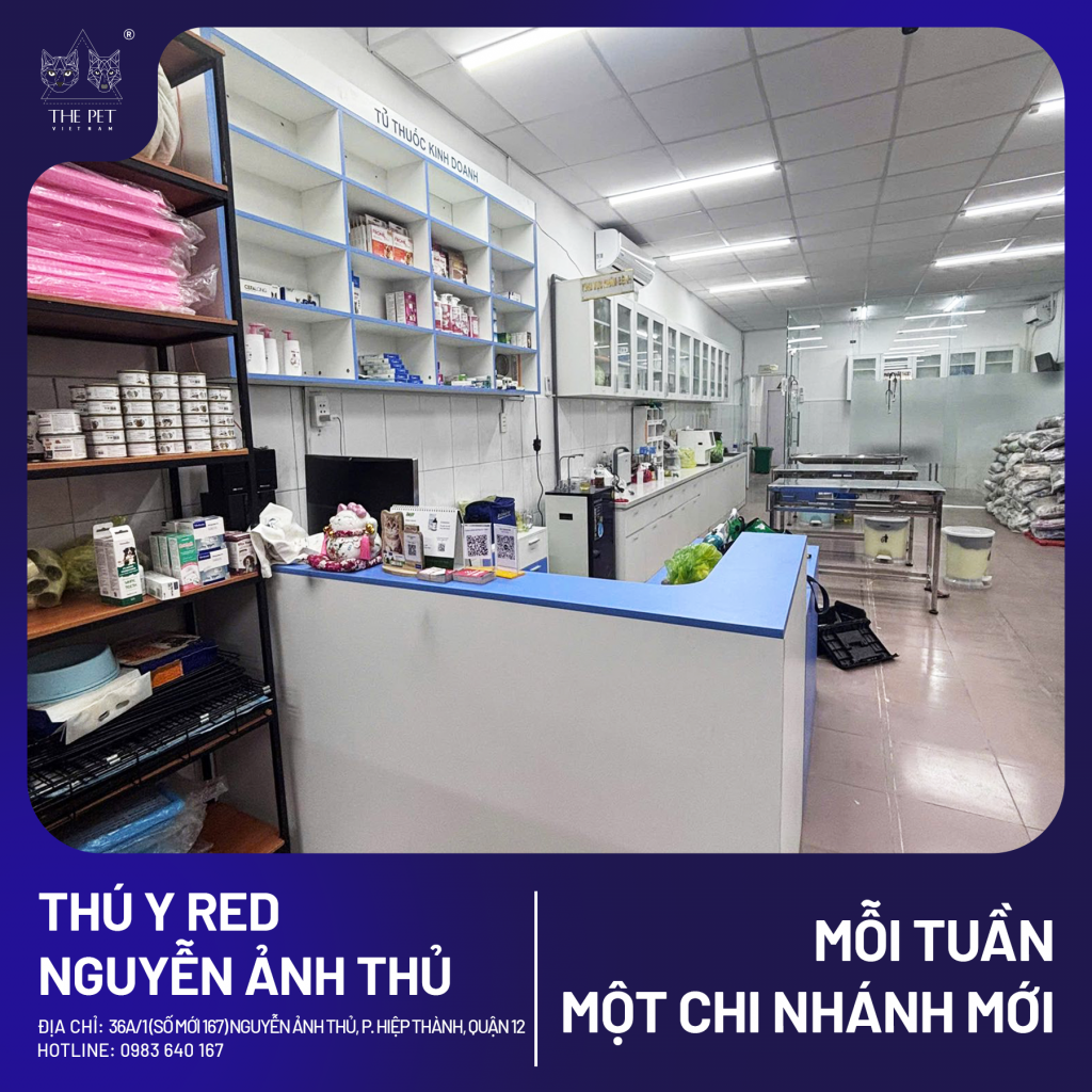 🎉 MỖI TUẦN 1 CHI NHÁNH MỚI 🎉 6 5 2