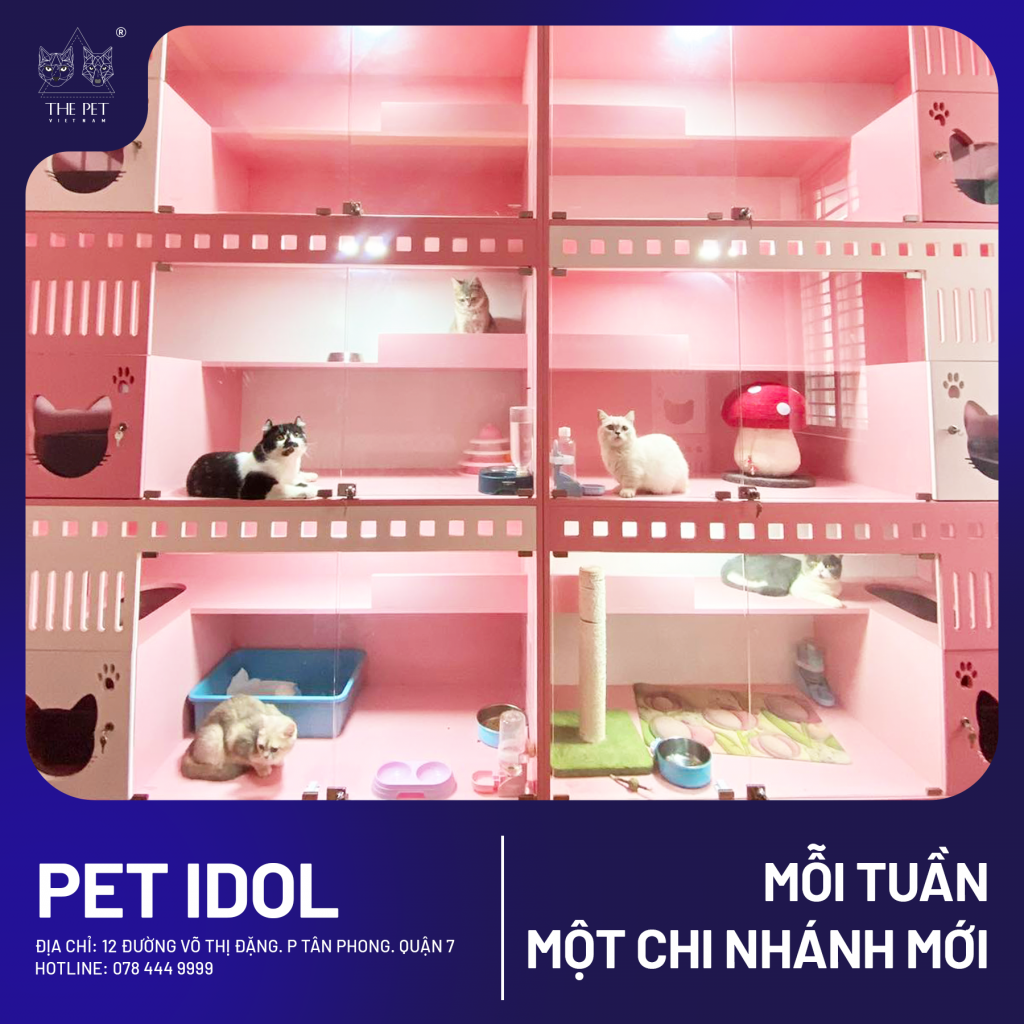 🎉MỖI TUẦN 1 CHI NHÁNH MỚI - TUẦN NÀY LÀ QUẬN 7 🎉 2 5 3