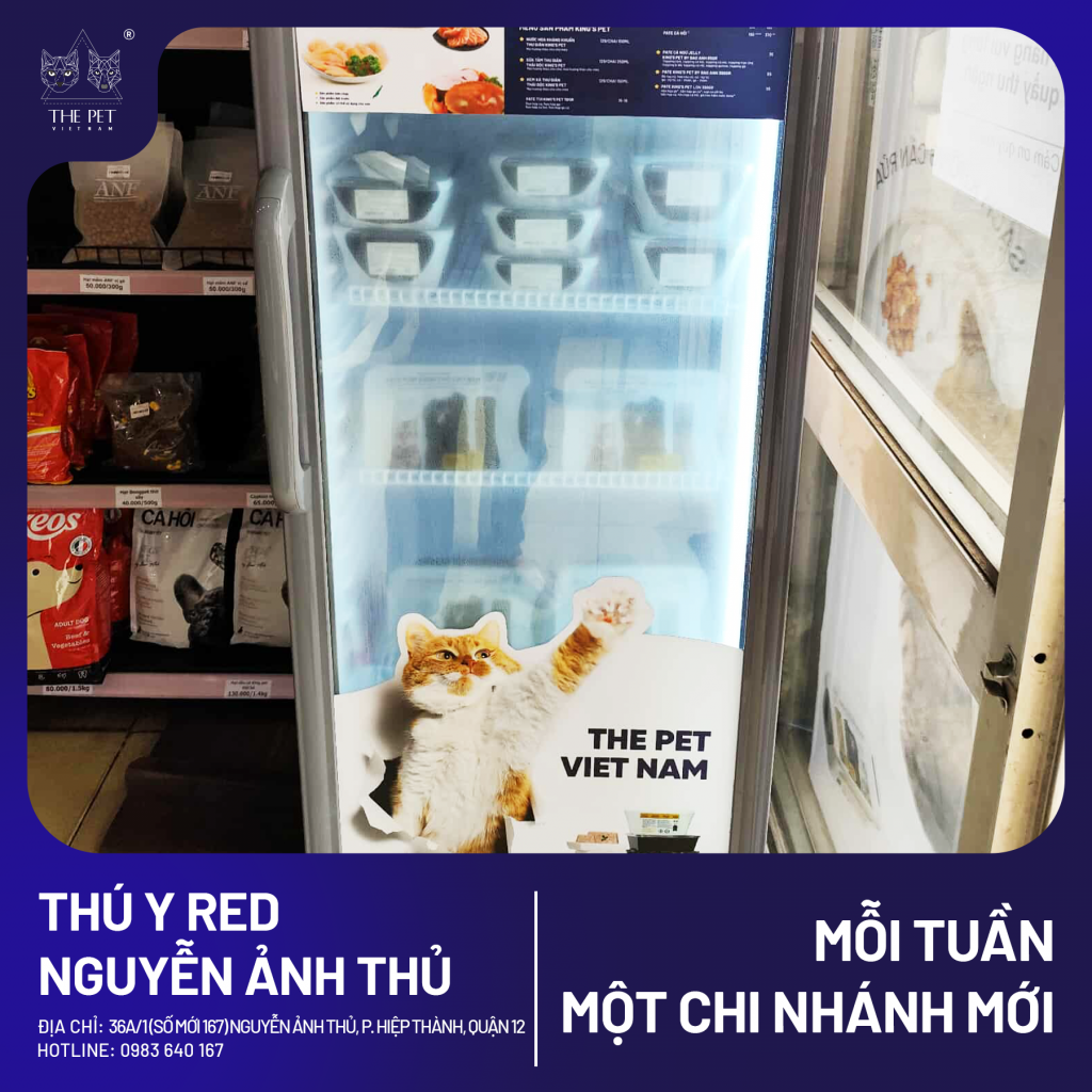 🎉 MỖI TUẦN 1 CHI NHÁNH MỚI 🎉 2 6 2