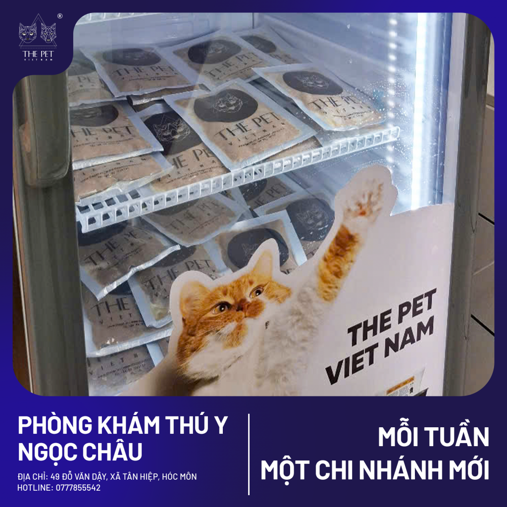 CHUYÊN MỤC MỖI TUẦN MỘT CHI NHÁNH MỚI – PHÒNG KHÁM THÚ Y NGỌC CHÂU – HÓC MÔN 2 7 1