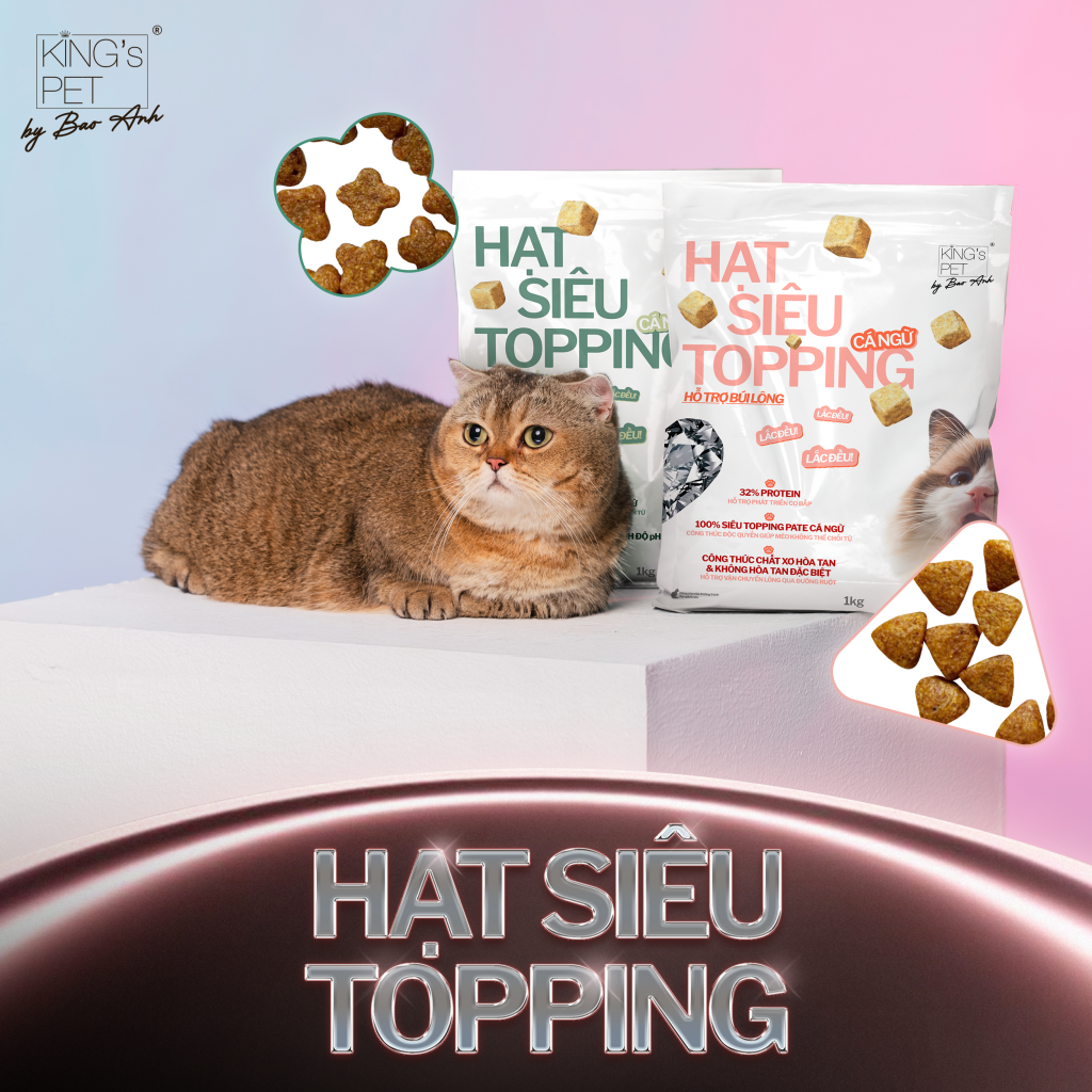 Giới thiệu hatj siêu topping