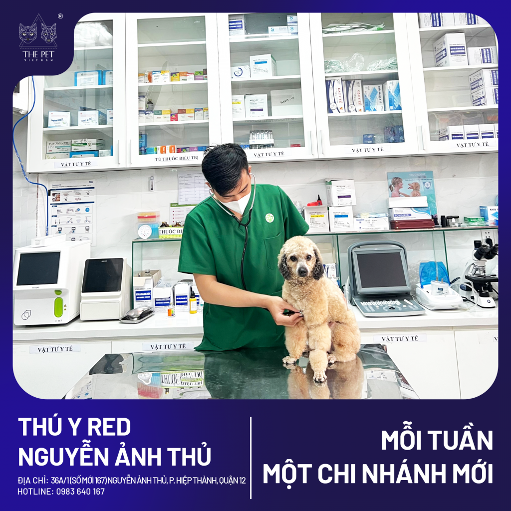 🎉 MỖI TUẦN 1 CHI NHÁNH MỚI 🎉 5 7 2