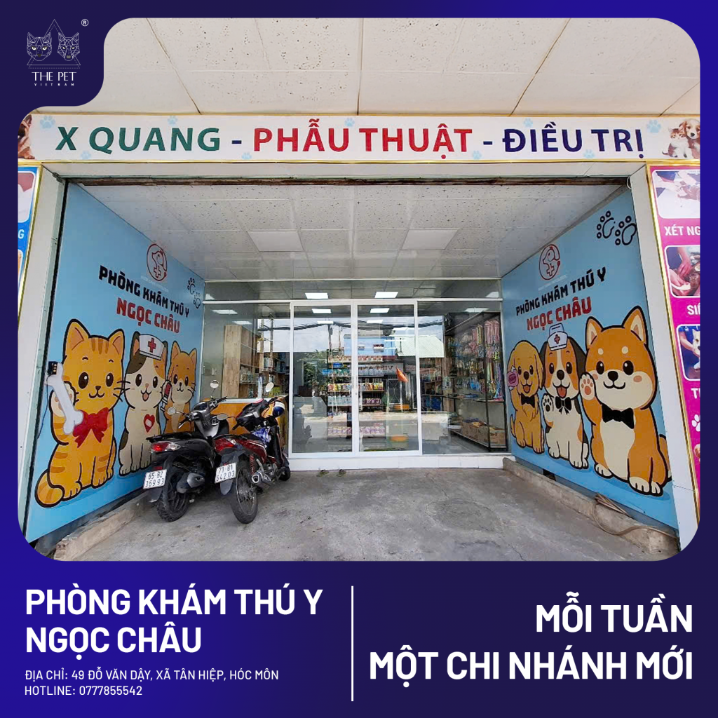 CHUYÊN MỤC MỖI TUẦN MỘT CHI NHÁNH MỚI – PHÒNG KHÁM THÚ Y NGỌC CHÂU – HÓC MÔN 3 8 1