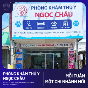 CHUYÊN MỤC MỖI TUẦN MỘT CHI NHÁNH MỚI – PHÒNG KHÁM THÚ Y NGỌC CHÂU – HÓC MÔN 513 9