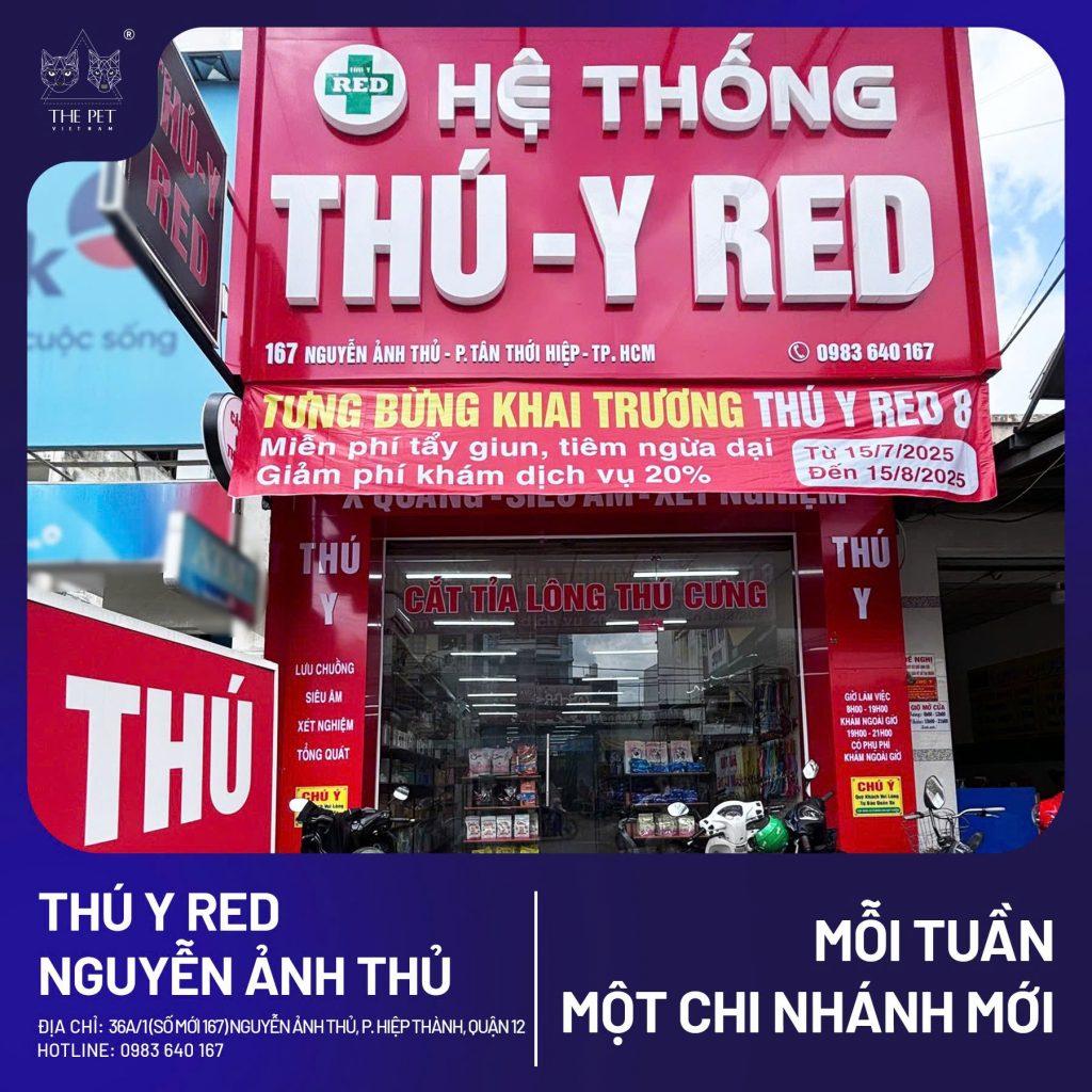 🎉 MỖI TUẦN 1 CHI NHÁNH MỚI 🎉 1 z6918978801423 f5c1a0ff5455e35e8f410badd825ca9a