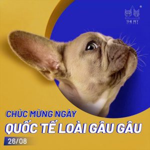 Happy National Dog Day 26/08 – Ngày của những chiếc cún trung thành! 470 National Dog Day