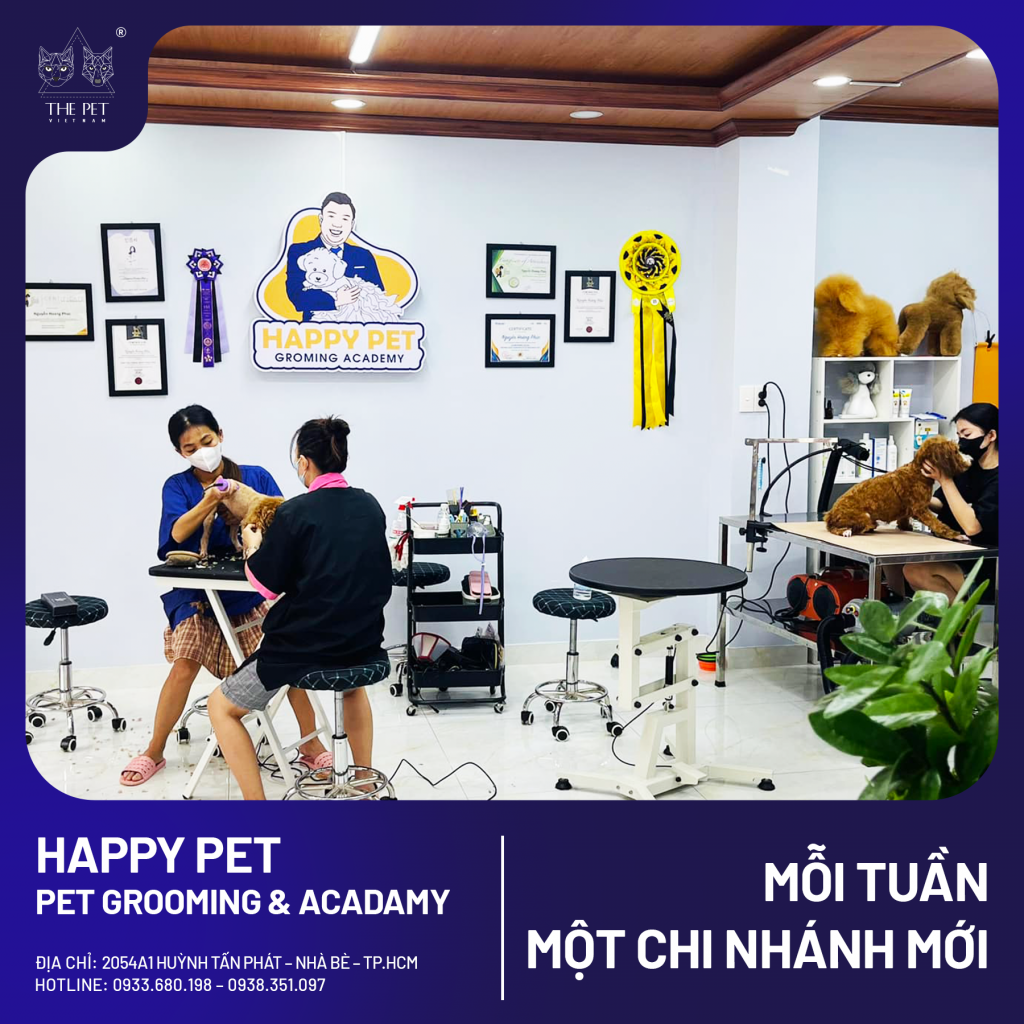 🐾 CHUYÊN MỤC “MỖI TUẦN MỘT CHI NHÁNH MỚI” 🐾 3 1 1 1