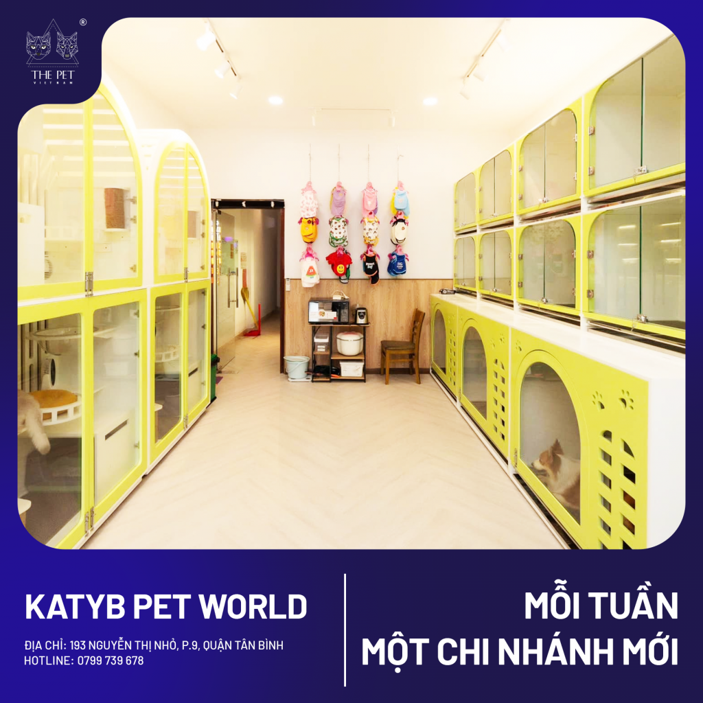 CHUYÊN MỤC “MỖI TUẦN MỘT CHI NHÁNH MỚI" 3 11 1
