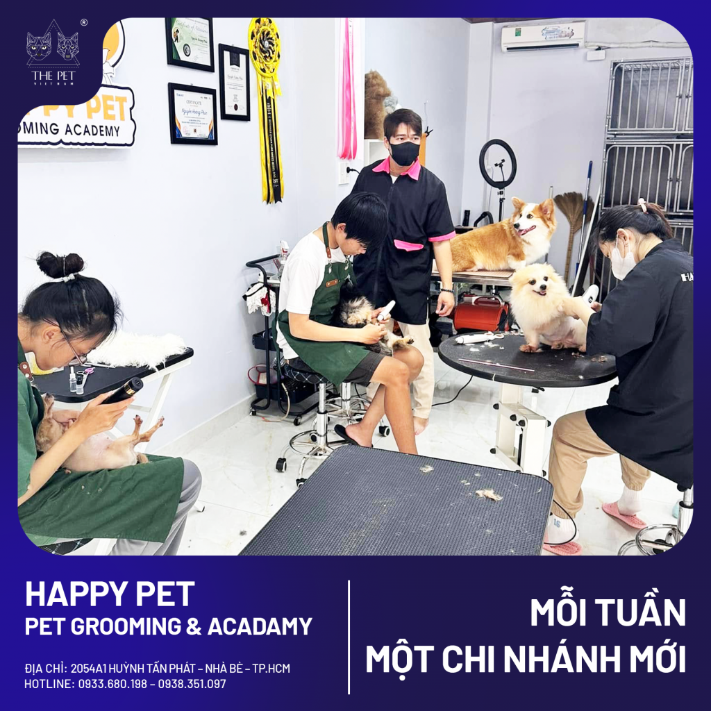 🐾 CHUYÊN MỤC “MỖI TUẦN MỘT CHI NHÁNH MỚI” 🐾 2 2 1 1