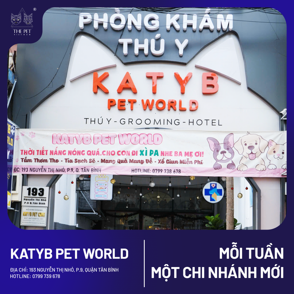 CHUYÊN MỤC “MỖI TUẦN MỘT CHI NHÁNH MỚI" 1 3 1 1