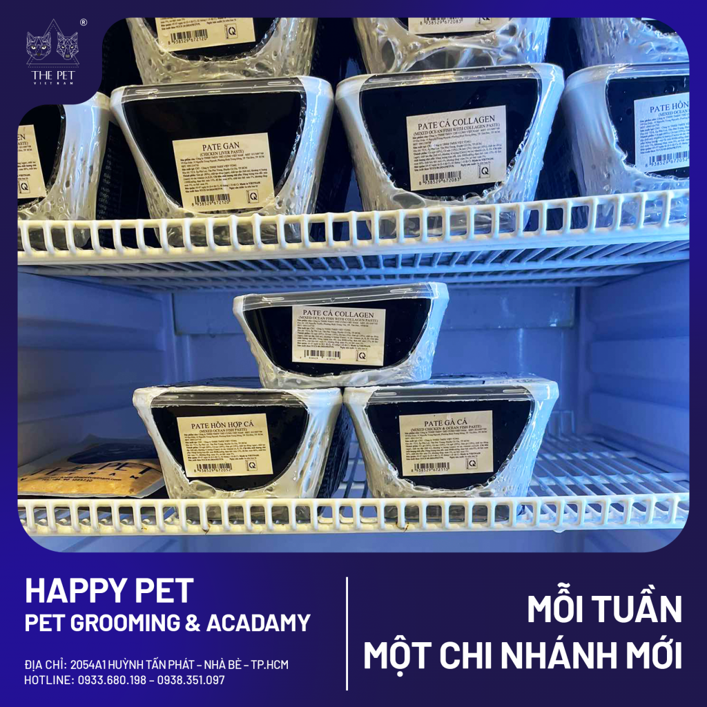 🐾 CHUYÊN MỤC “MỖI TUẦN MỘT CHI NHÁNH MỚI” 🐾 6 4 1