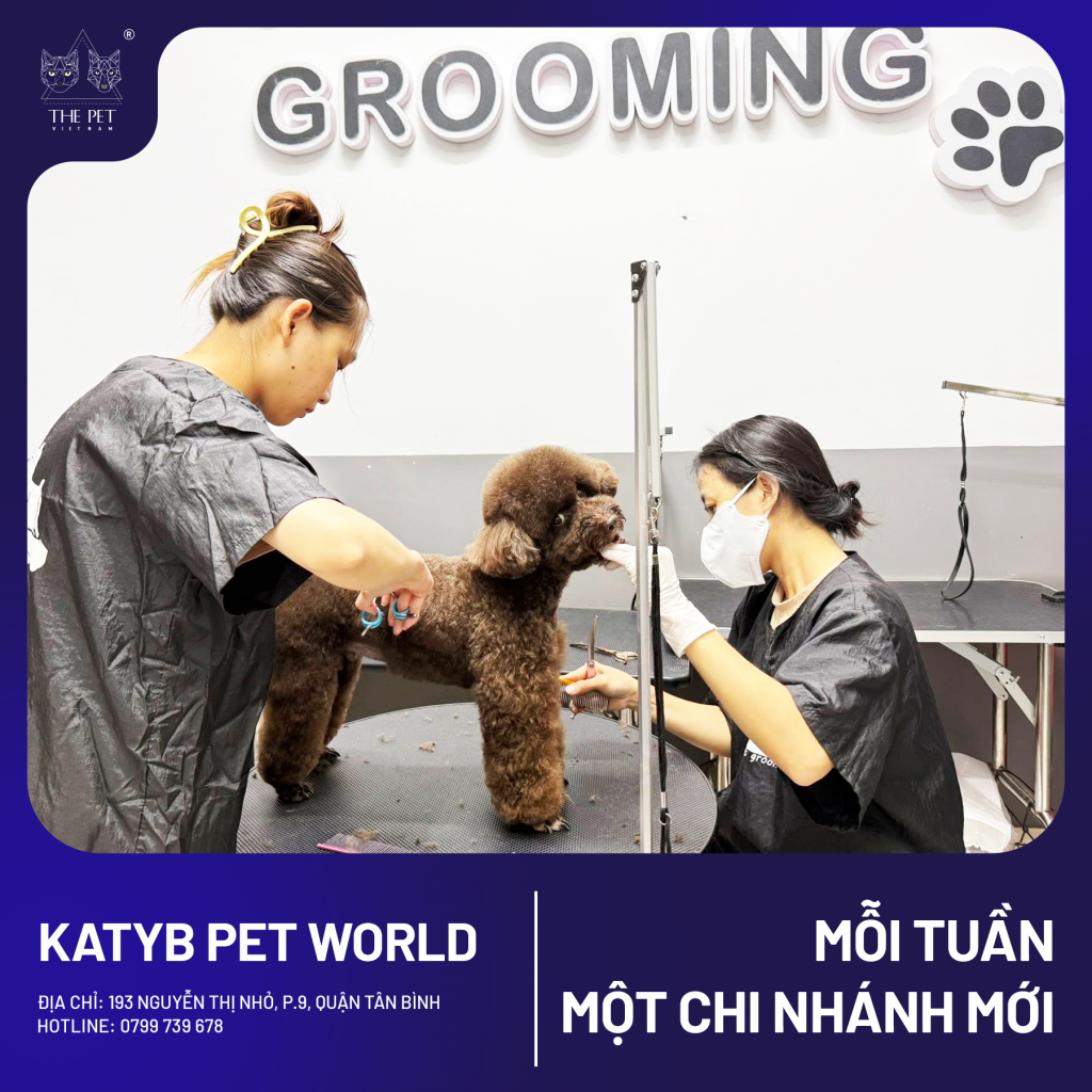 CHUYÊN MỤC “MỖI TUẦN MỘT CHI NHÁNH MỚI" 2 5 1