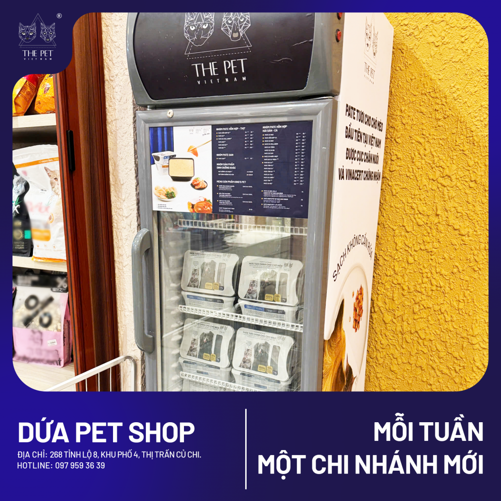 🐾 CHUYÊN MỤC “MỖI TUẦN MỘT CHI NHÁNH MỚI” 🐾 4 5 3