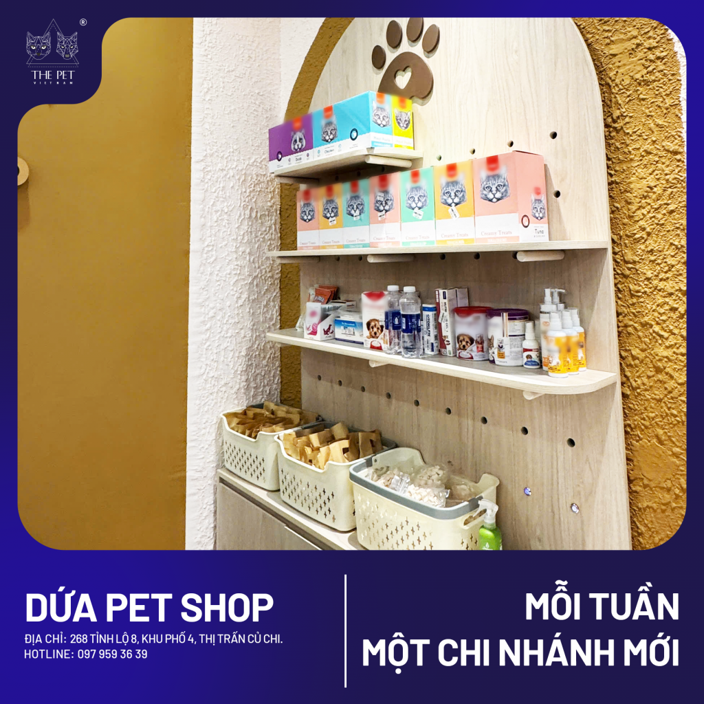 🐾 CHUYÊN MỤC “MỖI TUẦN MỘT CHI NHÁNH MỚI” 🐾 3 7 1 1